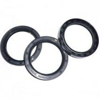 Non Standard White NBR Metric Oil Seal TC for Transportation Equipment NSF FDA ROHS WRAS