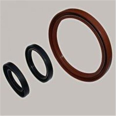 Custom Green Viton Elastic Metric Oil Seal for Industrial Devices ISO AS DIN JIS OEM / ODM