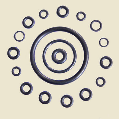 Long Service Life VMQ NBR O Rings Framework Oil Seal for Pressure Vessel , Gas Compressor