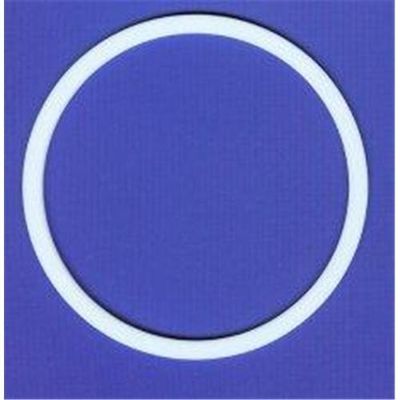 Custom White Chemical Resistance Teflon Check Ring PTFE Backup Ring with Lubricating Oil