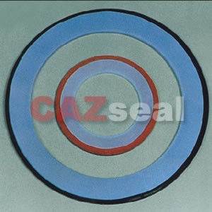 PTFE-Umschlag-Dichtung